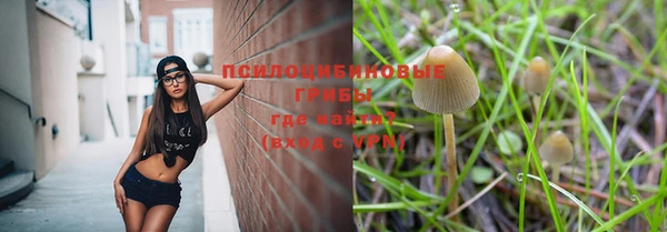 mix Алексин