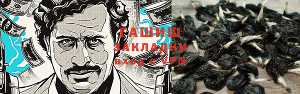 кокс Алзамай