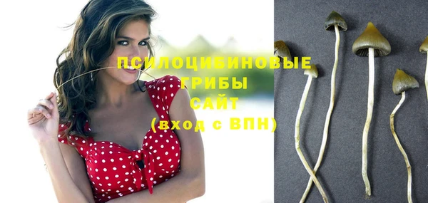 кокс Алзамай