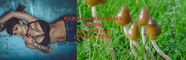 марихуана Арсеньев