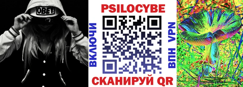 купить  цена  OMG маркетплейс  маркетплейс наркотические препараты  Берёзовский  Псилоцибиновые грибы MAGIC MUSHROOMS 